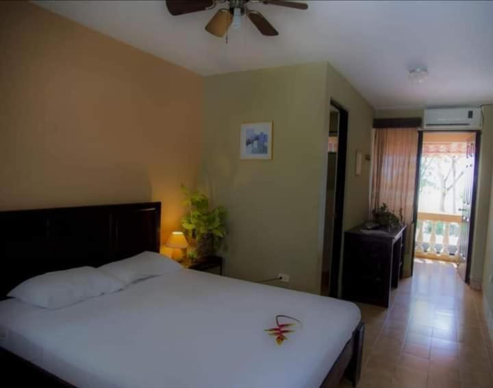 House Of The Macaws Bed & Breakfast Tarcoles Exterior photo